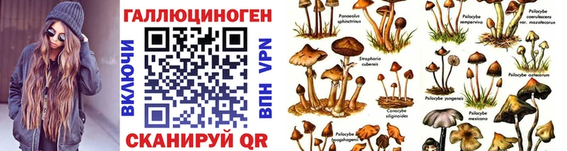 Галлюциногенные грибы Psilocybe  blacksprut маркетплейс  Россошь 